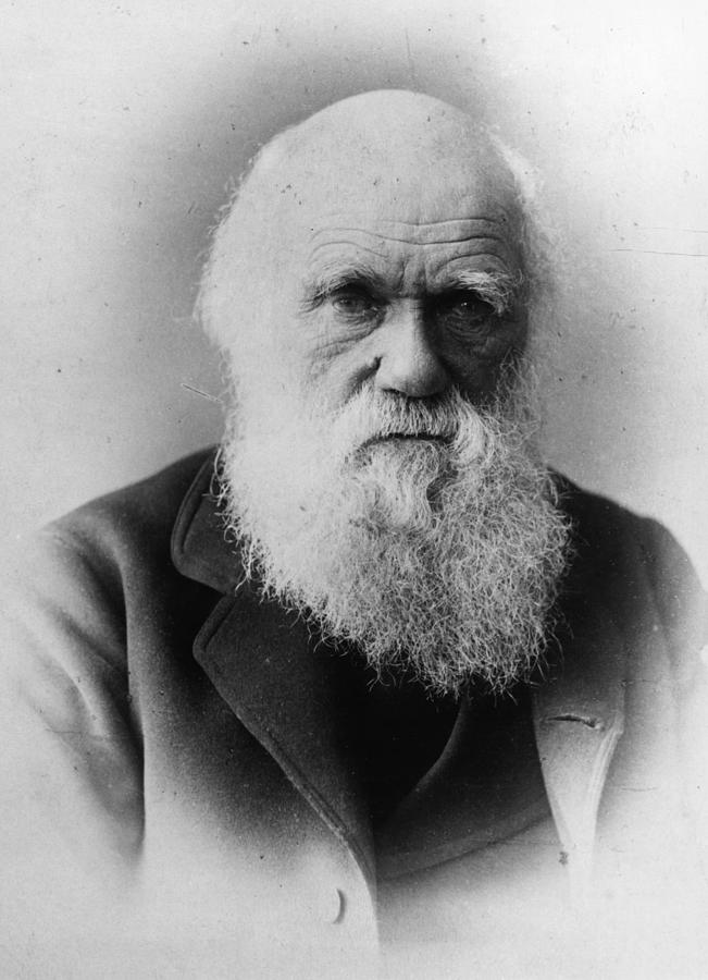 Charles Darwin Photograph by General Photographic Agency