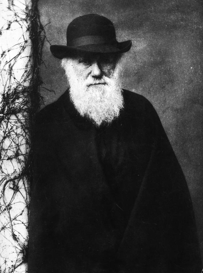 Charles Darwin Photograph by Hulton Archive