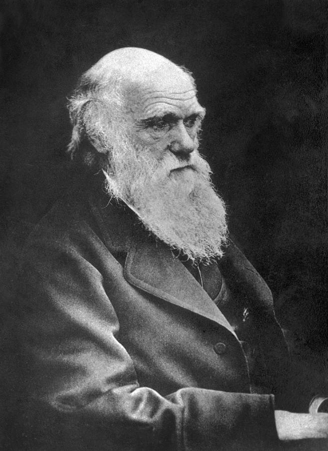 Charles Darwin Photograph by Spencer Arnold Collection