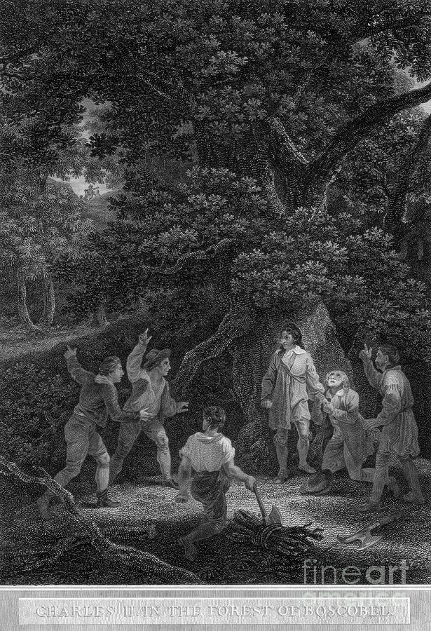 Charles II In The Forest Of Boscobel Drawing by Print Collector