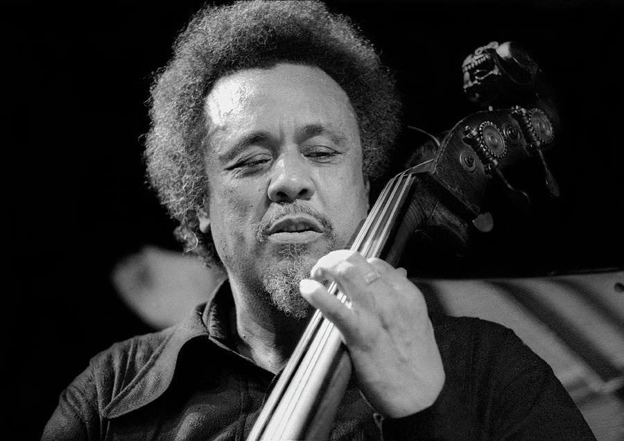 Charles Mingus Performs Photograph by Tom Copi