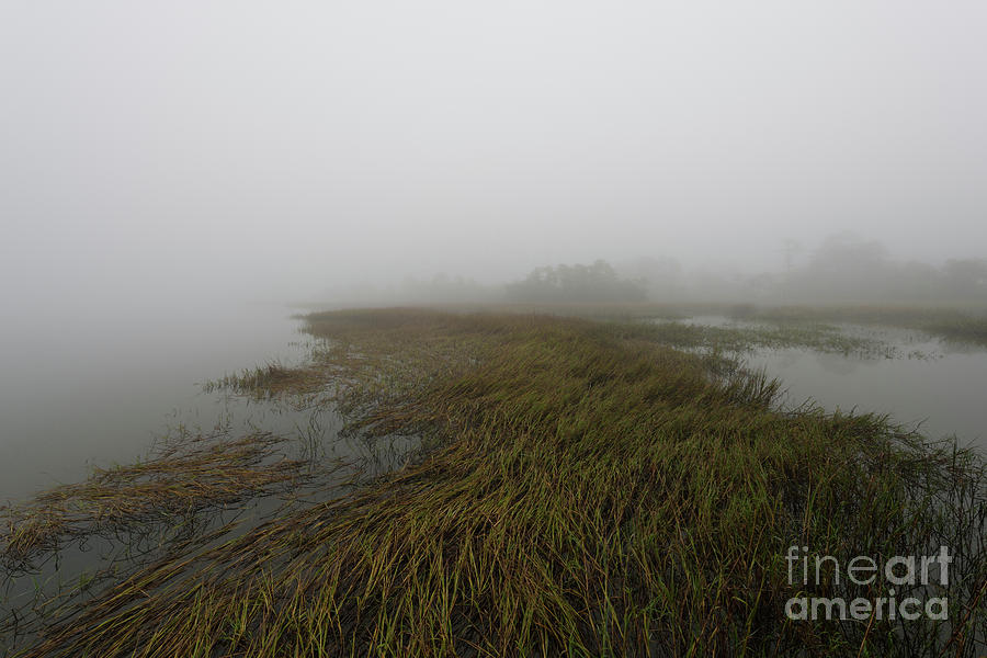 Charleston Fog - Wando River Photograph by Dale Powell
