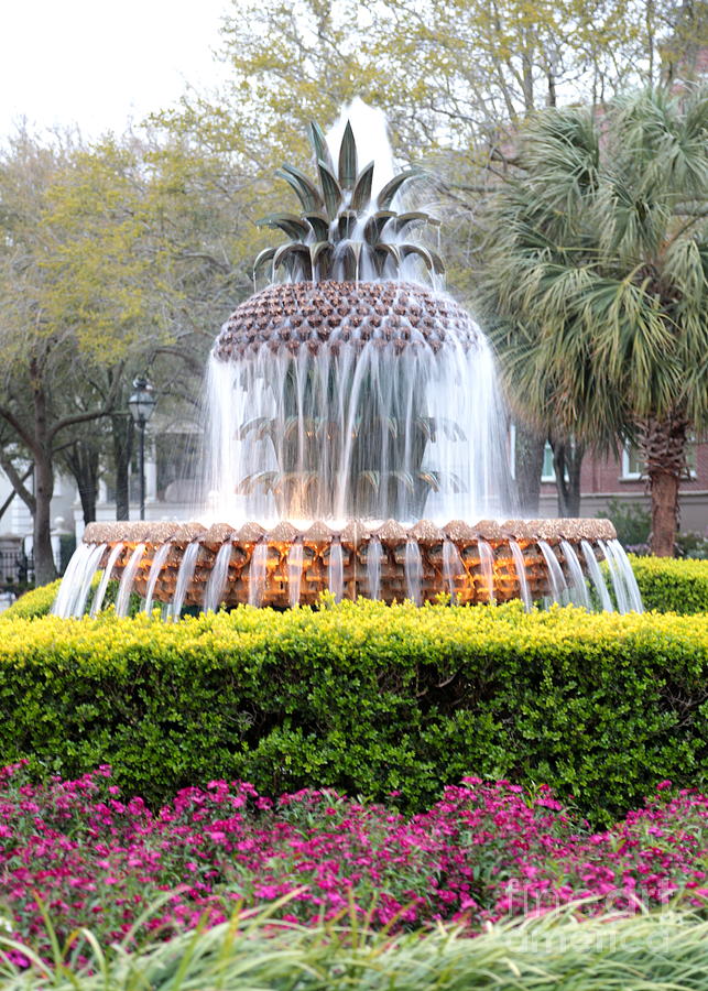 Charleston Pineapple Fountain Photograph by Carol Groenen