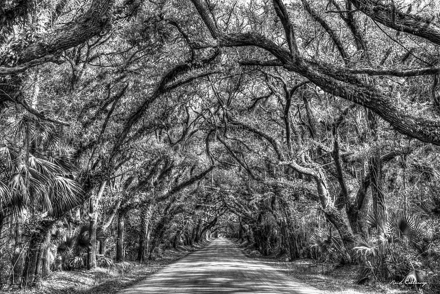 Charleston S C Shadows B W Botany Bay Road Edisto Island South Carolina Landscape Art Photograph by Reid Callaway