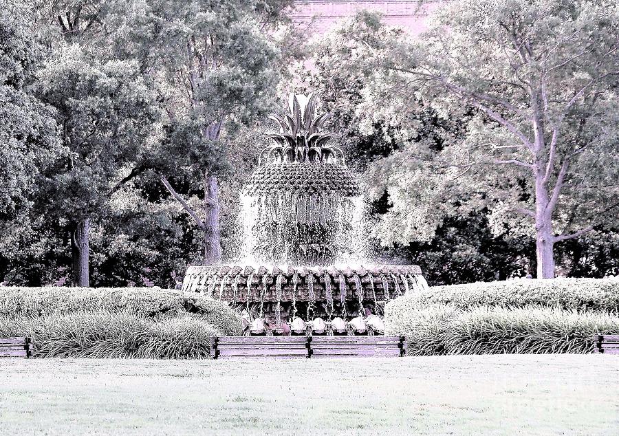 Charleston SC fountain Photograph by Merle Grenz