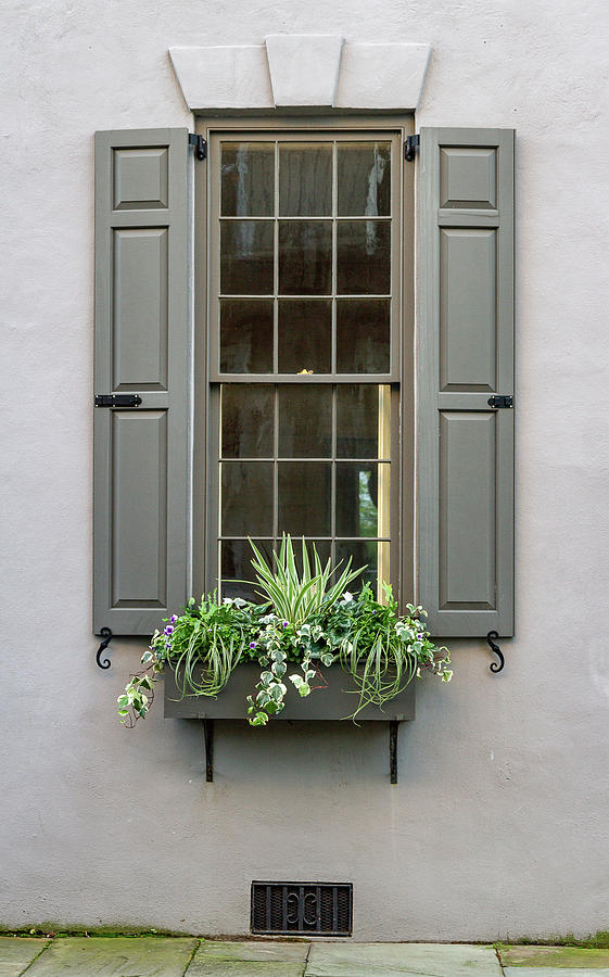 Charleston Window by Ree Reid Charleston Window by Ree Reid