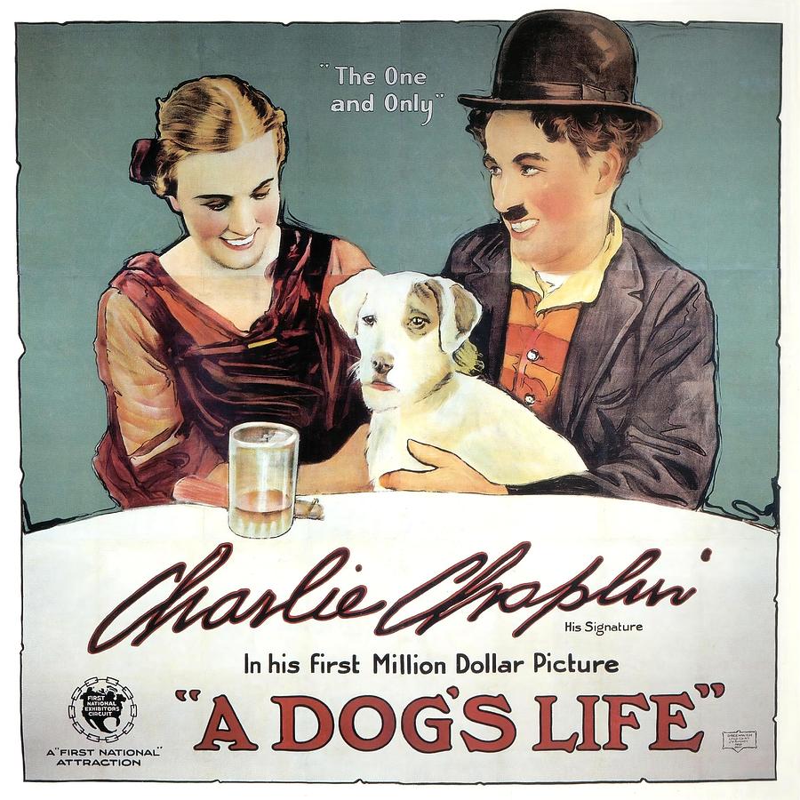 CHARLIE CHAPLIN in A DOGS LIFE -1918-. Photograph by Album