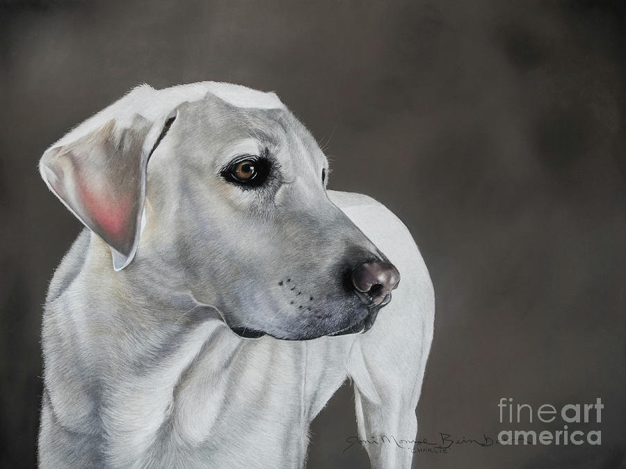 Labrador Retriever Pastel - Charlie by Joni Beinborn