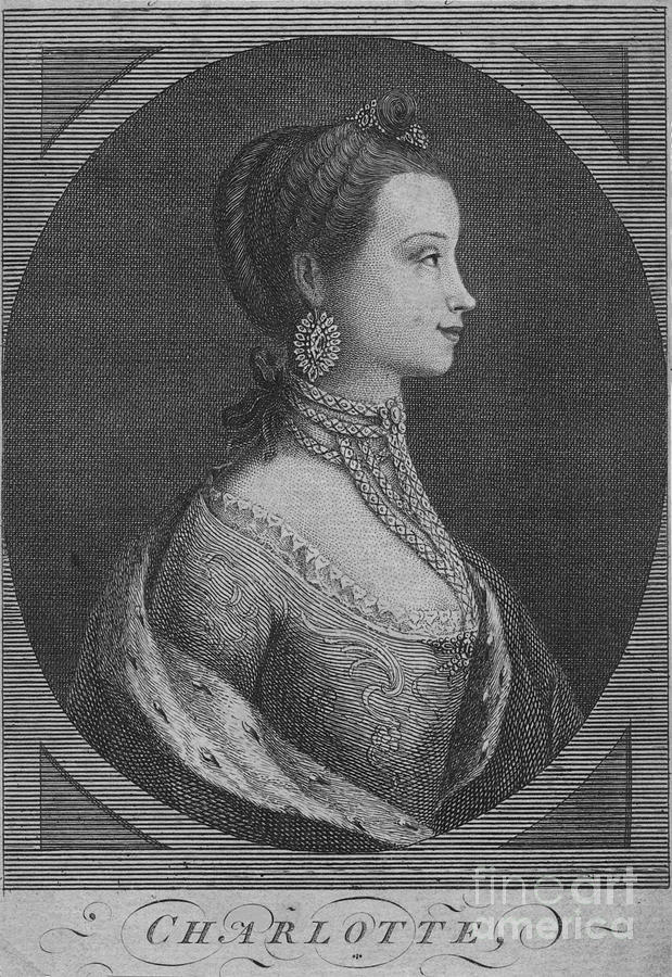 Charlotte, 1761 Drawing by Print Collector