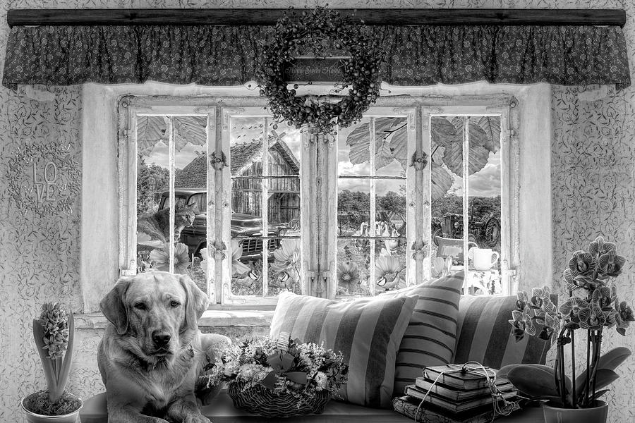 Charming Country Life in Black and White Digital Art by Debra and Dave Vanderlaan