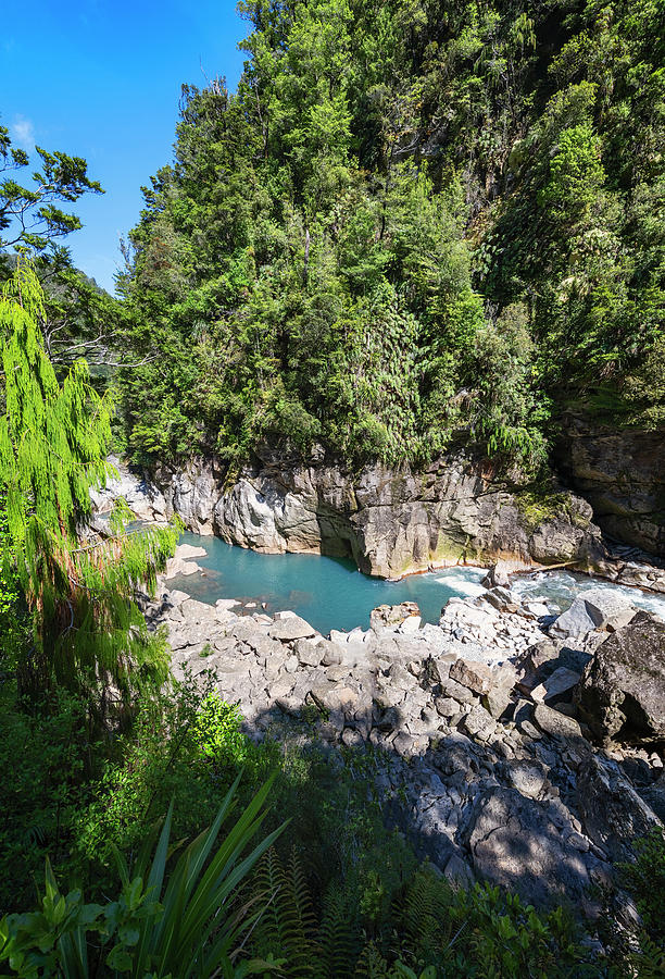 Charming Creek Walkway New Zealand II Photograph by Joan Carroll