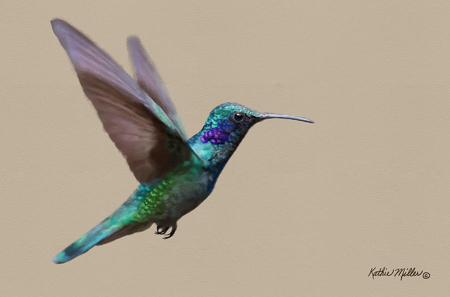 Charming Hummingbird Digital Art by Kathie Miller