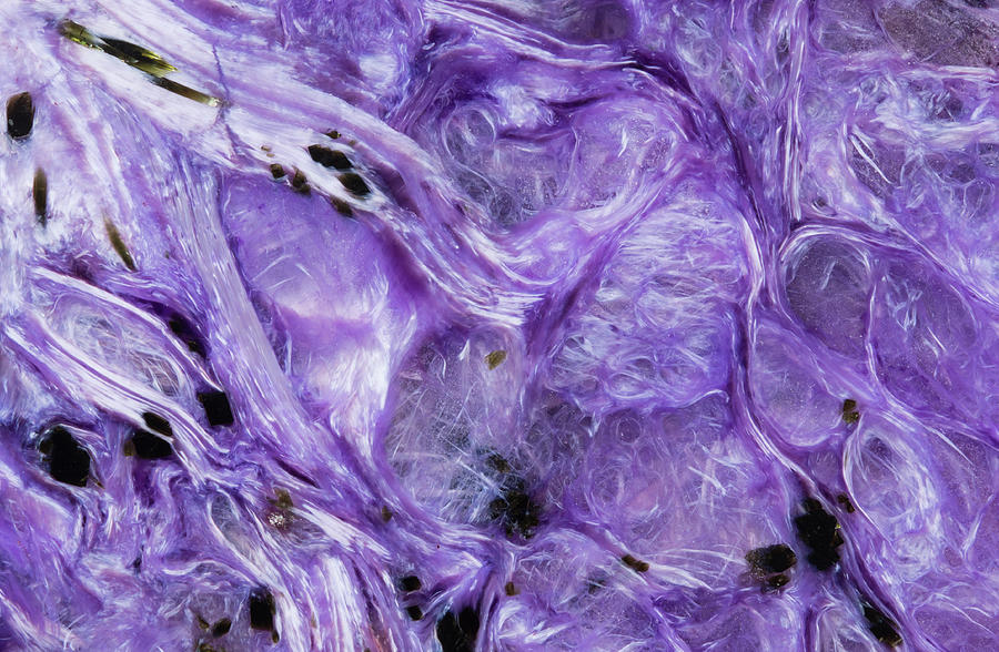 Charoite Mineral, Close-up Photograph by Mark Windom