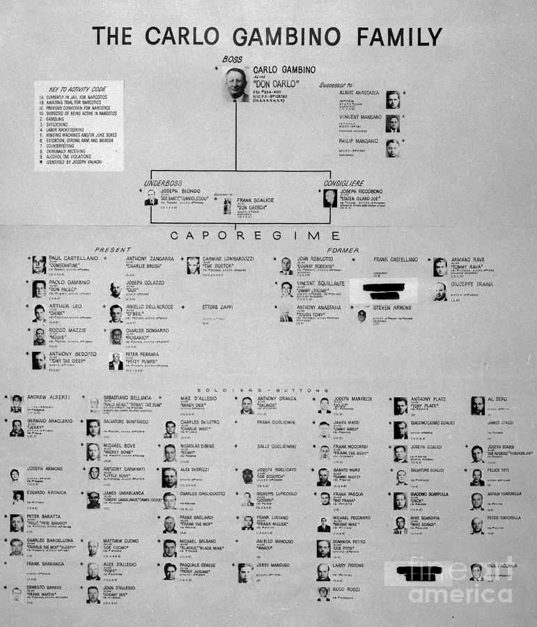 Chart Of Gambino Crime Family Photograph by Bettmann Pixels
