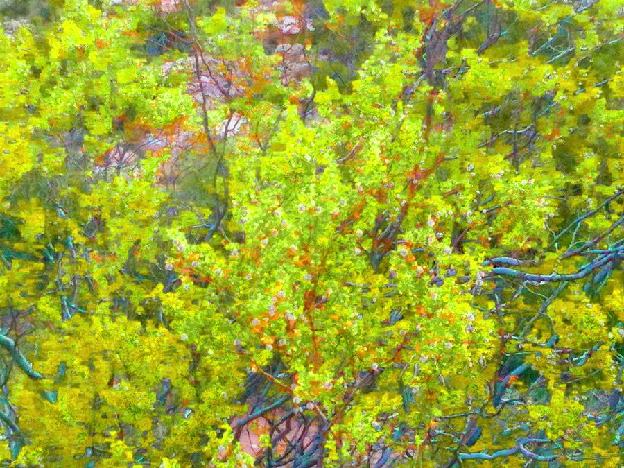 Chartreuse Desert Foliage Photograph by Debra Grace Addison