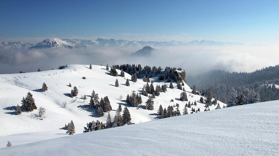 Chartreuse Mountains In Winter Photograph by Jmichel Deborde