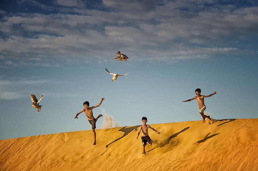 Chasing Ducks Photograph by Burak Senbak