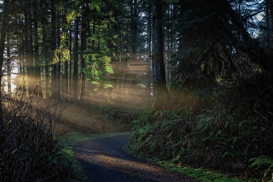 Chasing Light Photograph by Bill Posner
