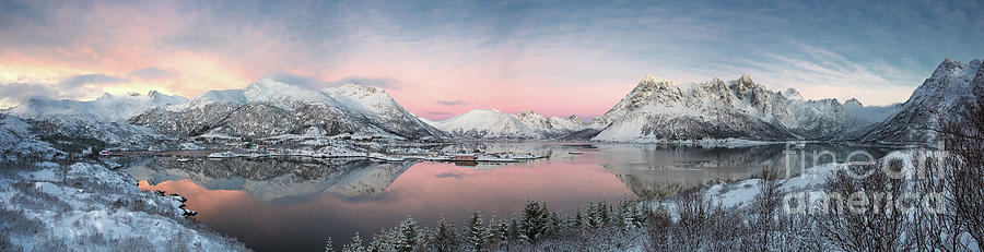 Chasing Light Twilight In Lofoten Photograph by Damon Mcdonald