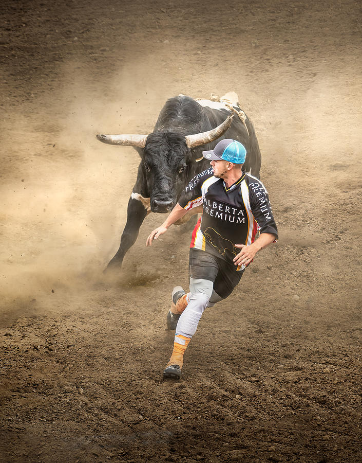 Bull Photograph - Chasing by Little7