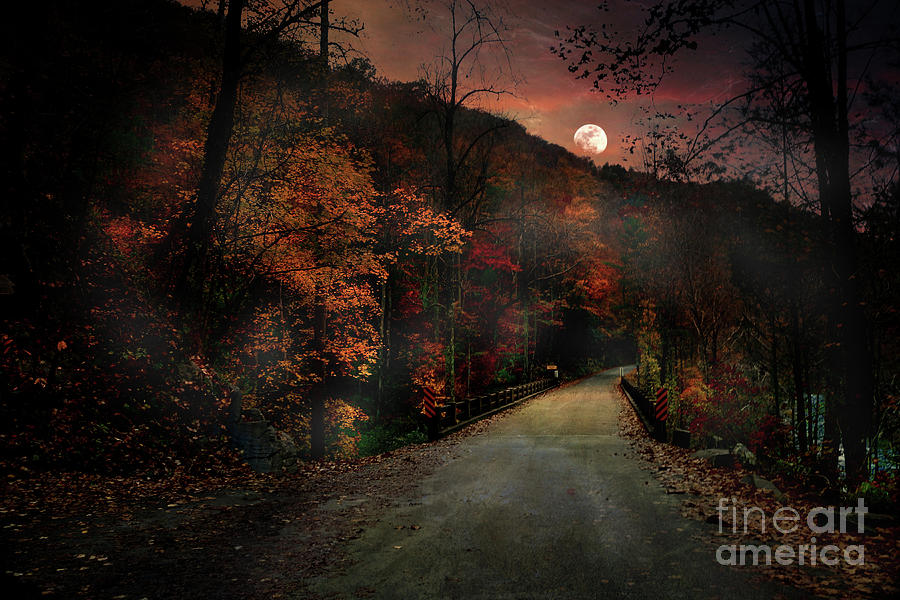 Chasing Luna by Rick Lipscomb Chasing Luna by Rick Lipscomb