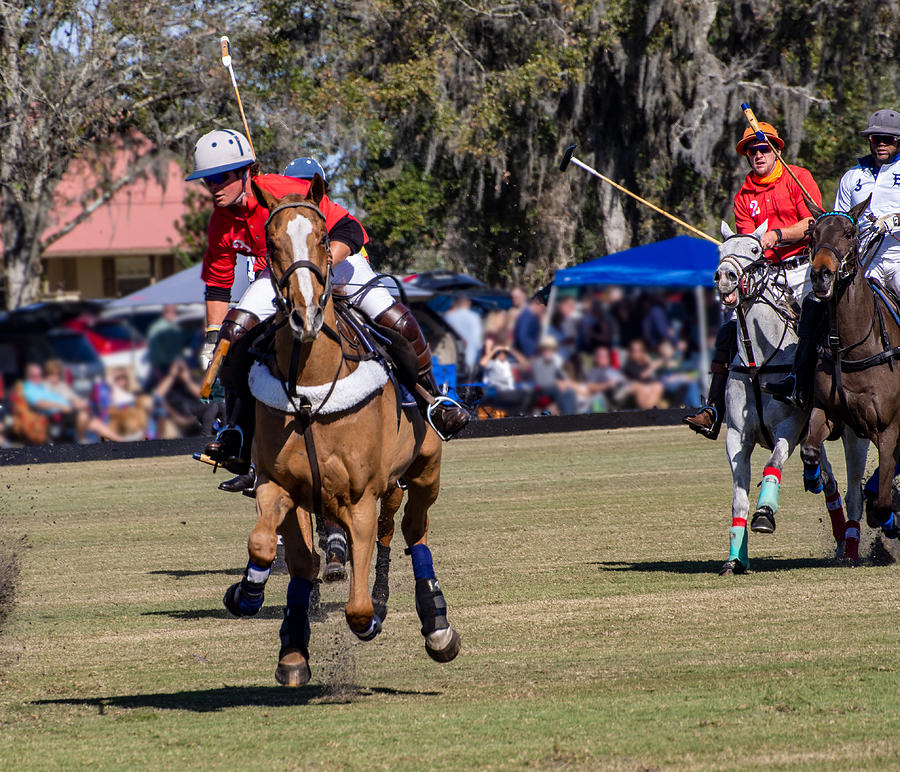 Chasing the Ball on a Polo Pony Photograph by L Bosco