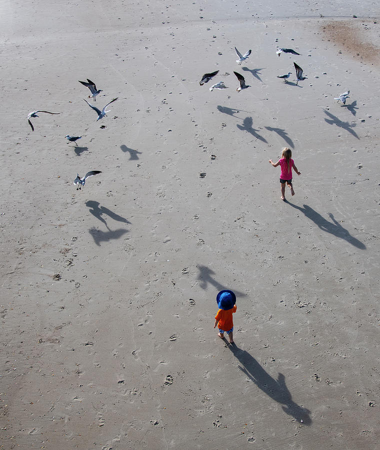 Seagull Photograph - Chasing The Gulls 1 by Robert Michaud