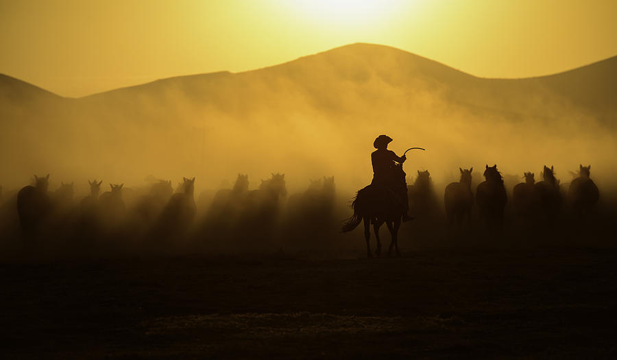 Horse Photograph - Chasing The Jades! by Yavuz Pancareken