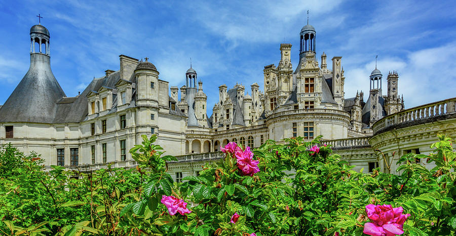 Chateau Chambord Photograph by Marcy Wielfaert
