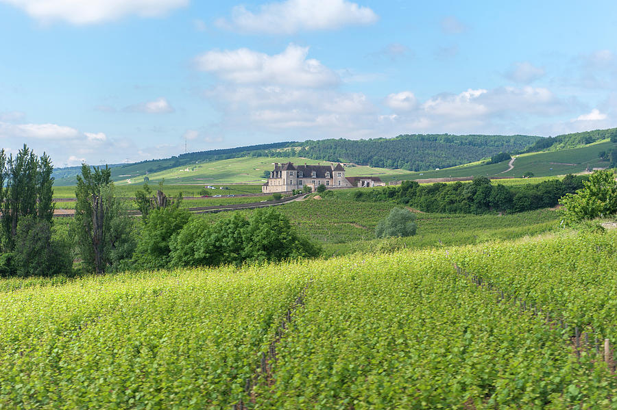 Blue Photograph - Chateau Du Clos De Vougeot, Cistercian by Lisa S. Engelbrecht Blue Photograph - Chateau Du Clos De Vougeot, Cistercian by Lisa S. Engelbrecht