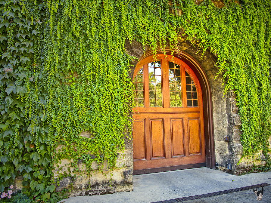 Chateau Montelena Door Photograph by Joyce Dickens