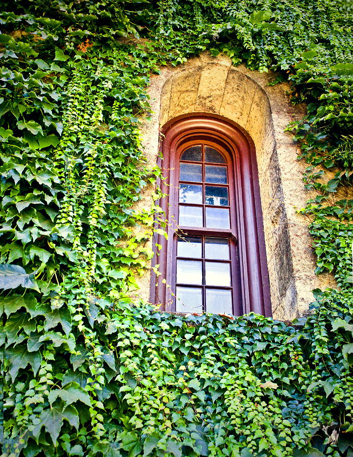 Chateau Montelena Window Photograph by Joyce Dickens - Fine Art America