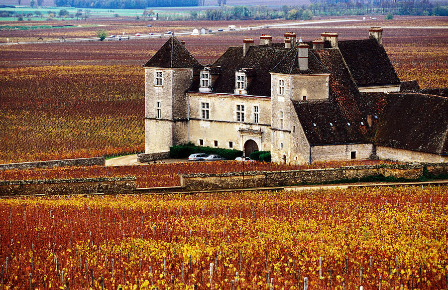 Chateau Surrounded By Vines, Burgundy Photograph by Oliver Strewe Chateau Surrounded By Vines, Burgundy Photograph by Oliver Strewe