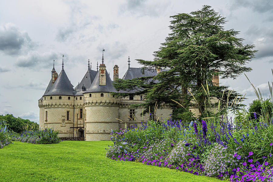 Chaumont Castle and gardens Photograph by Luis GA