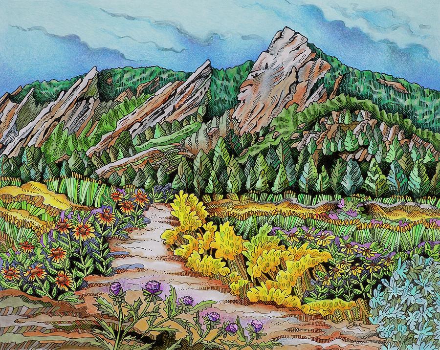 Chautauqua Trail Boulder Drawing by Janice A Larson