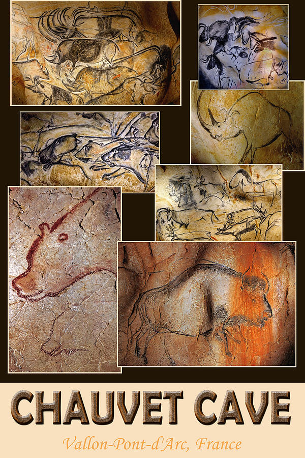 Chauvet Cave Art Photograph by Andrew Fare