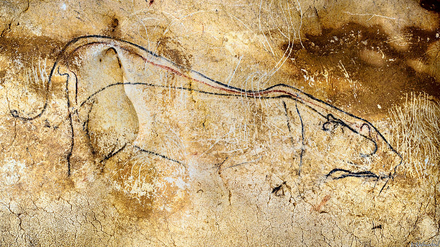 Chauvet Cave lions courting Digital Art by Weston Westmoreland