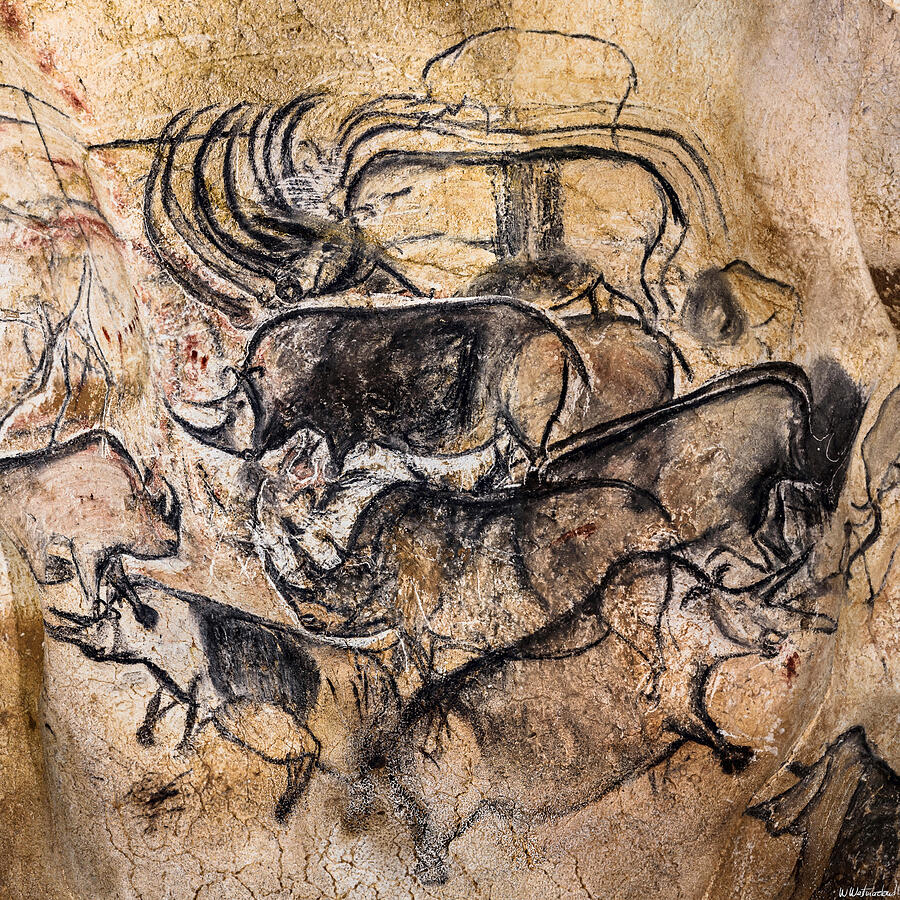 Chauvet - Rhinoceros Panel Digital Art by Weston Westmoreland
