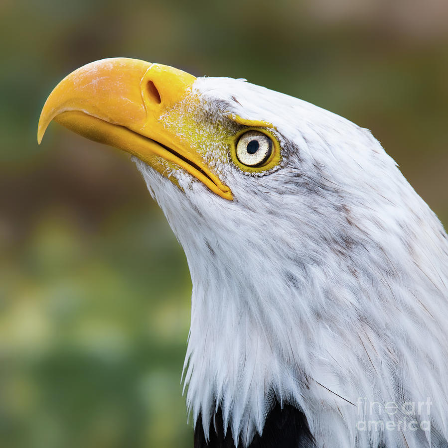 Check it out by Eyeshine Photography Check it out by Eyeshine Photography