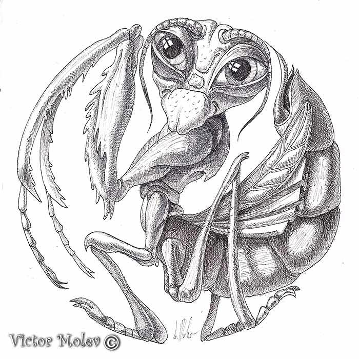 Cheerful Mantis Drawing by Victor Molev
