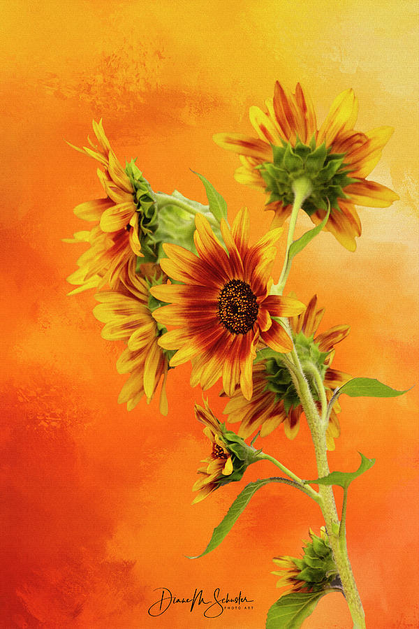 Cheerful Painted Sunflowers Digital Art by Diane Schuster