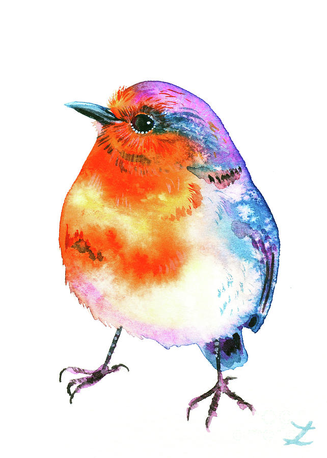 Cheerful Robin Painting by Zaira Dzhaubaeva