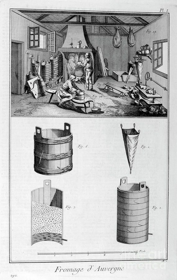 Cheese Of Auvergne, 1751-1777 Drawing by Print Collector