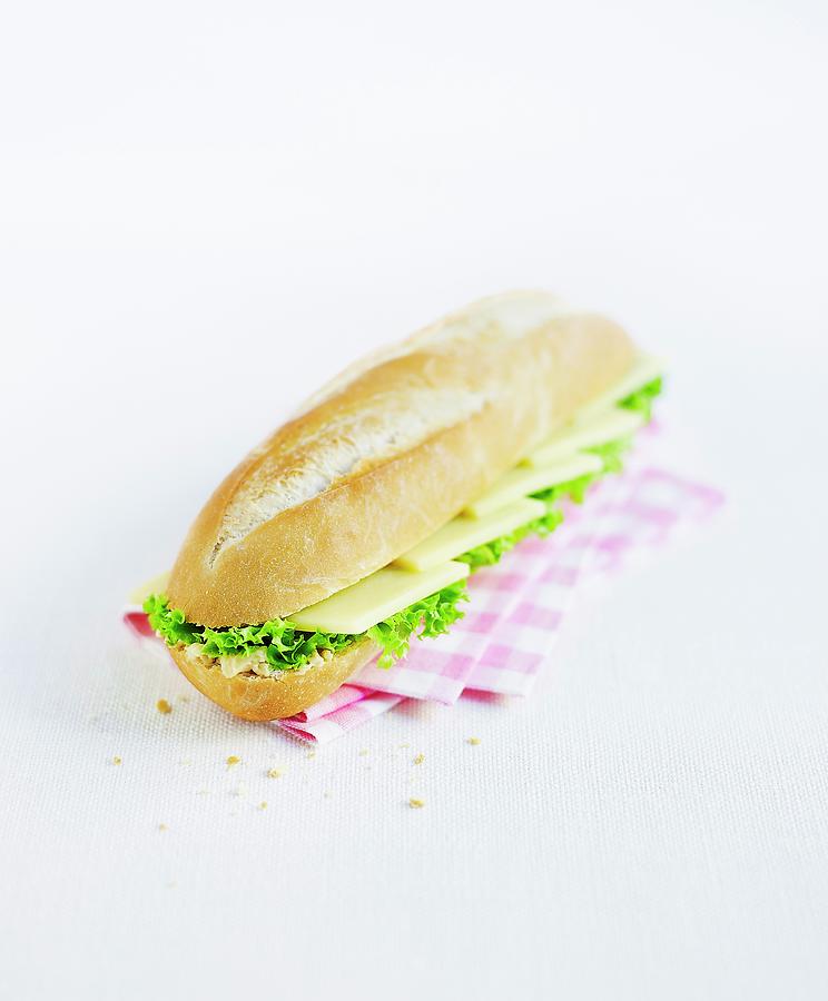 Cheese Sandwich With Lettuce Photograph by Clara Tuma