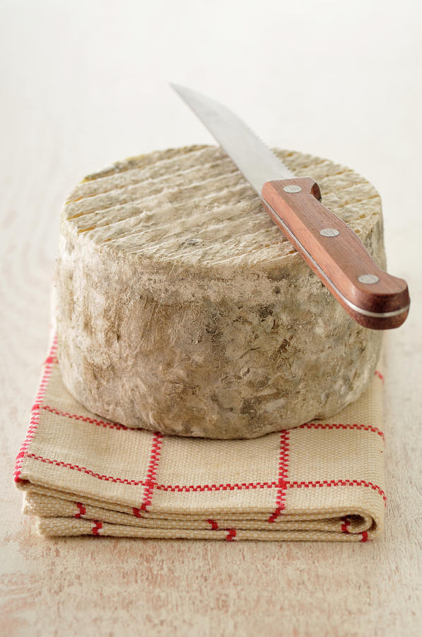 Cheese With A Knife Photograph by Riou Cheese With A Knife Photograph by Riou
