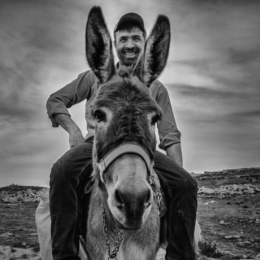 Donkey Photograph - Cheese! by Yavuz Pancareken