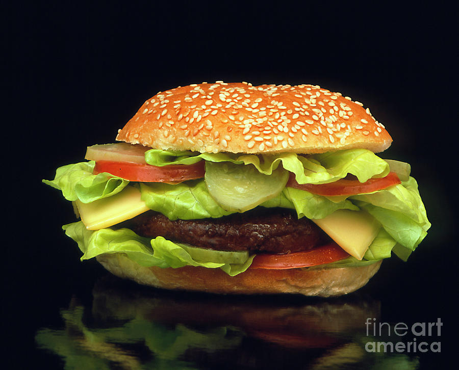 Cheeseburger With Lettuce Photograph by Erika Craddock/science Photo Library