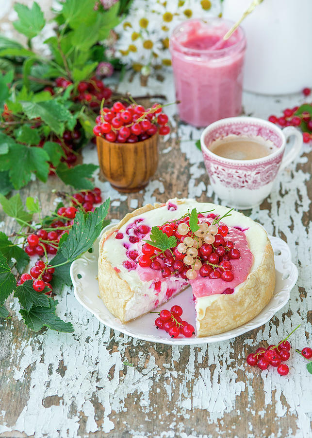 Cheesecake With Red Currant Curd Photograph by Irina Meliukh