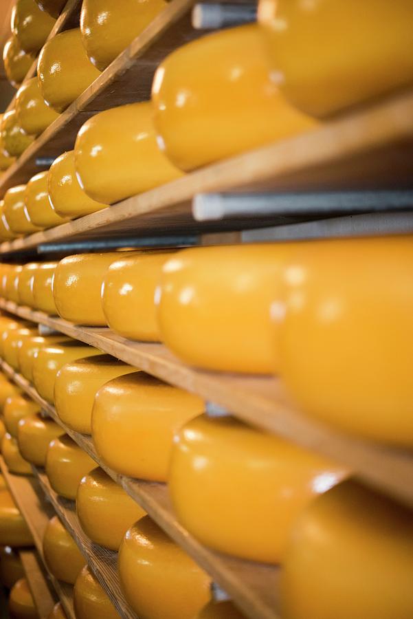 Cheeses On Shelves Photograph by Michael Van Emde Boas