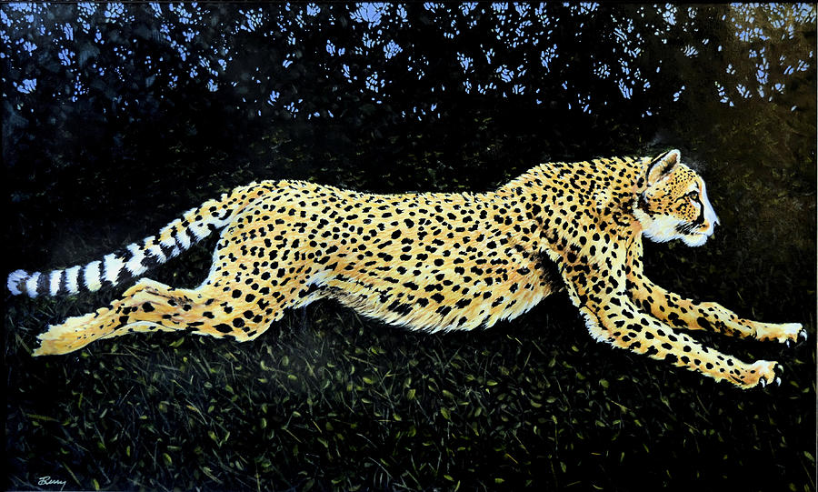 Cheetah At 60 Painting by Charles Berry